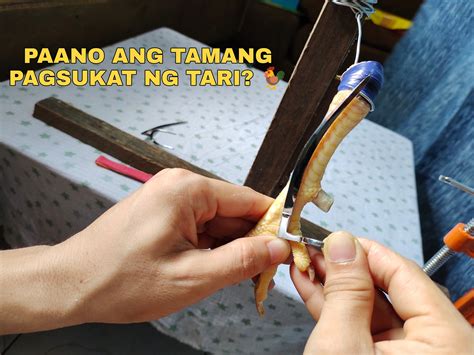 para saan ang tari ng manok|PAANO ANG TAMANG PAGSUKAT NG TARI SA PAA NG .